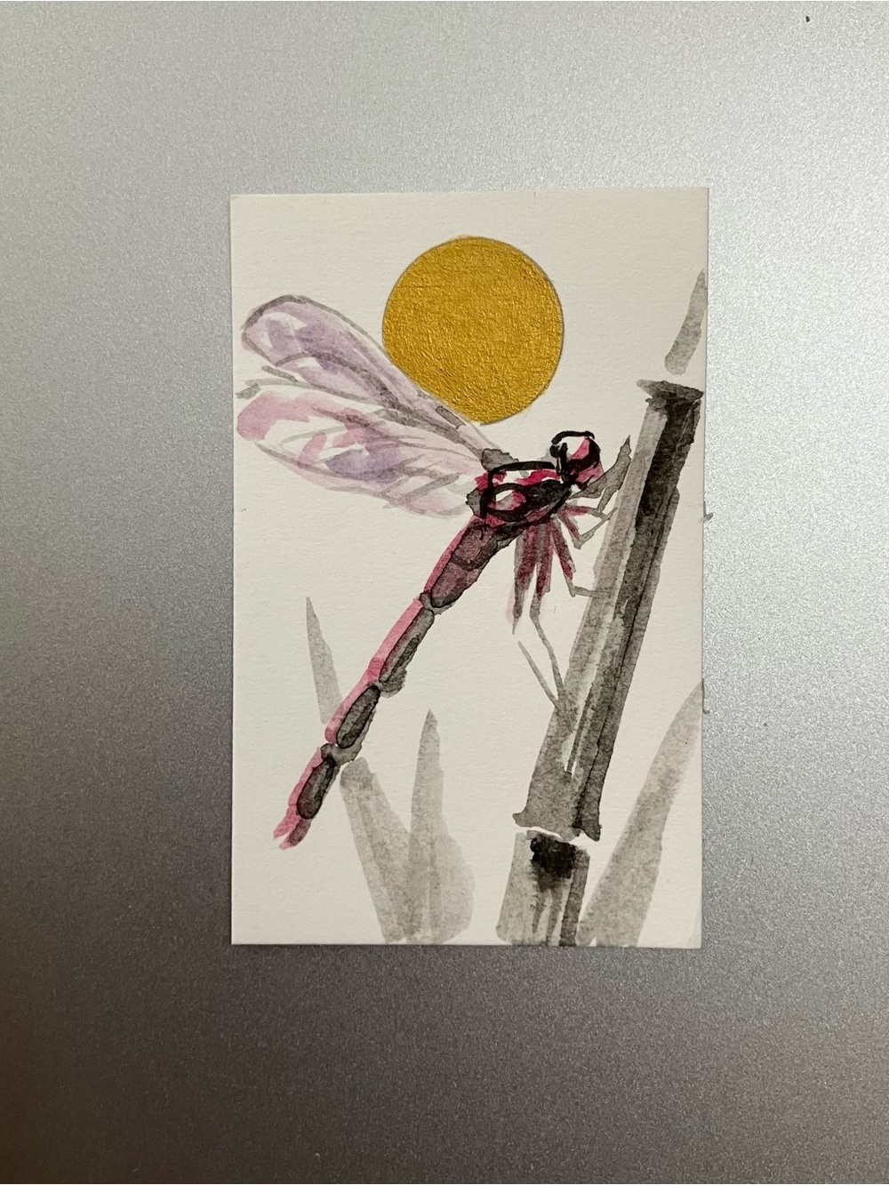 Original red dragonfly painting miniature realism art sumi-e style ink artwork
